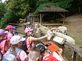 Výlet zoo Jihlava - 19.6.2018